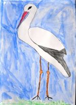 Ábelová Natália.jpg